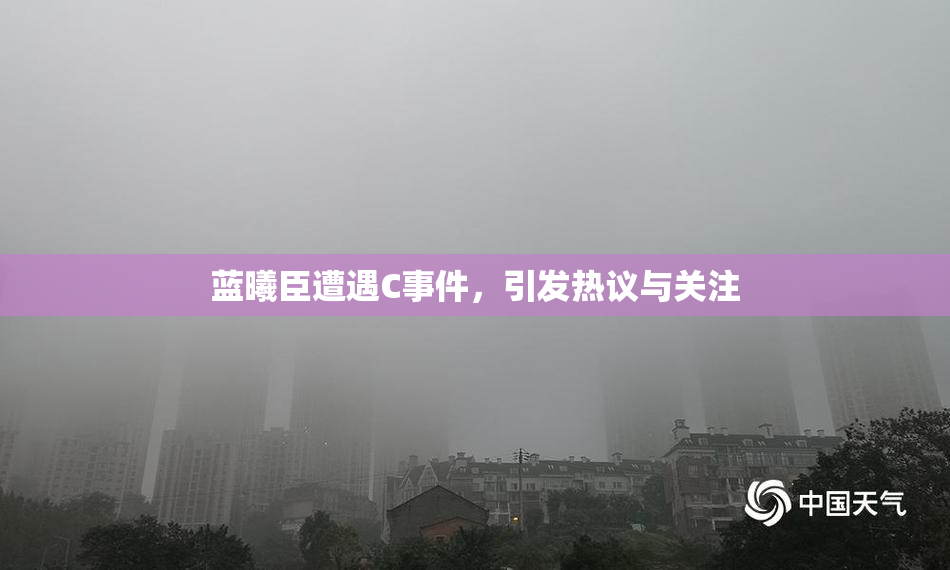 蓝曦臣遭遇C事件，引发热议与关注