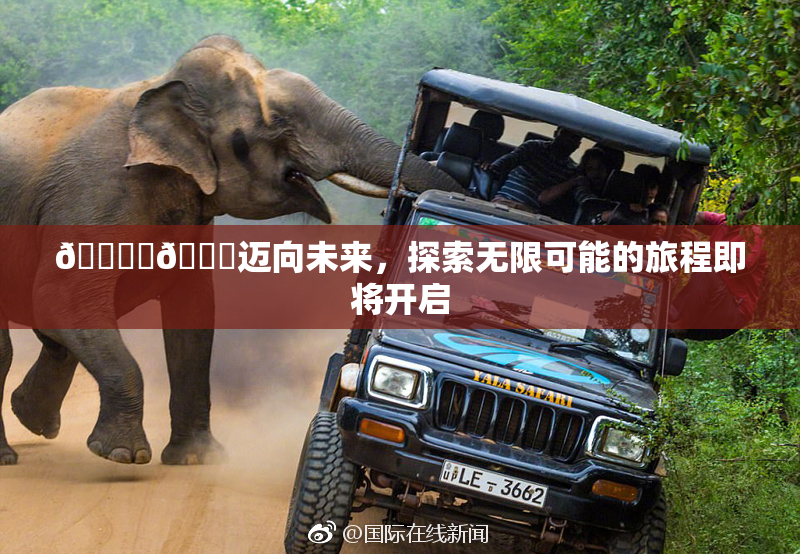 🔞‌🍌迈向未来，探索无限可能的旅程即将开启