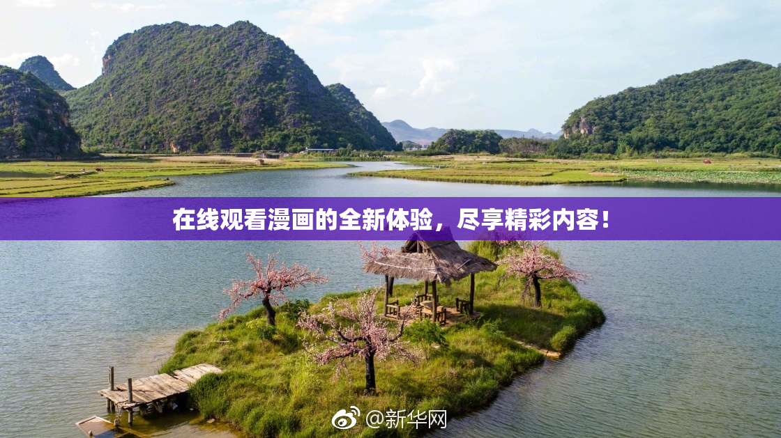 在线观看漫画的全新体验，尽享精彩内容！