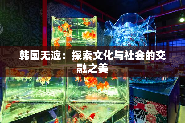 韩国无遮：探索文化与社会的交融之美