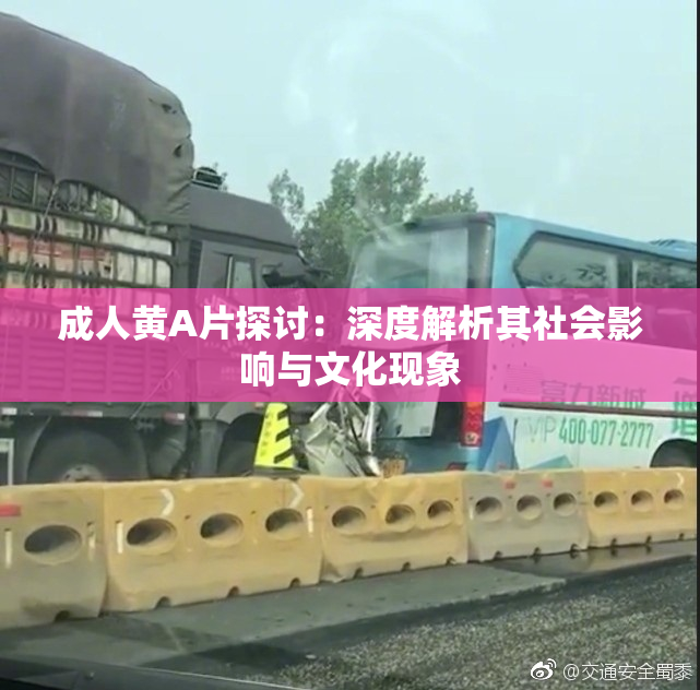 成人黄A片探讨：深度解析其社会影响与文化现象