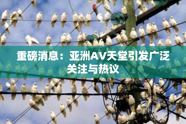 重磅消息：亚洲AV天堂引发广泛关注与热议