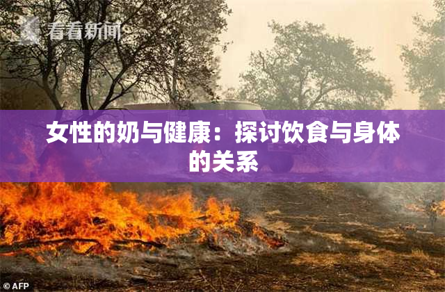 女性的奶与健康：探讨饮食与身体的关系