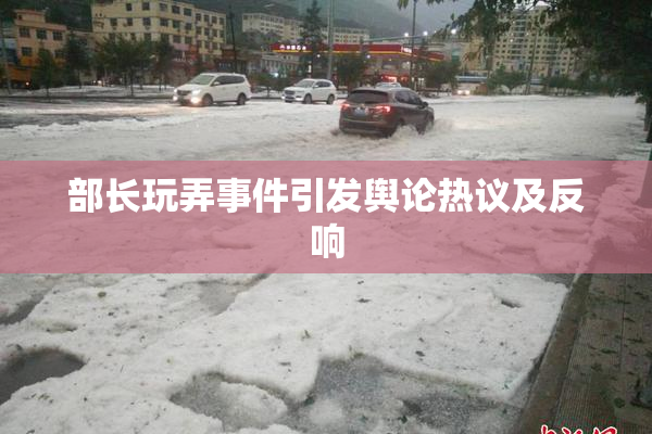部长玩弄事件引发舆论热议及反响