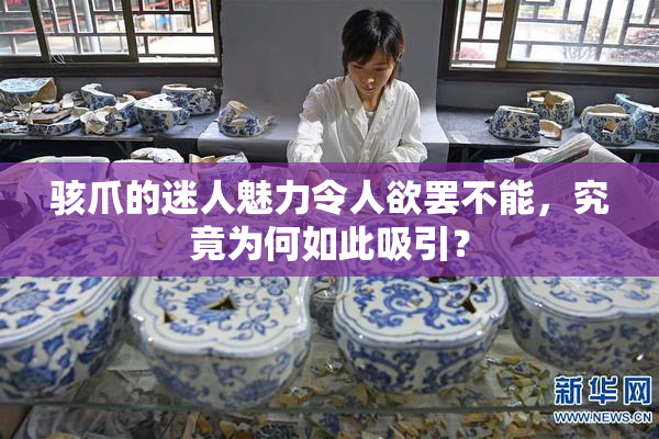 骇爪的迷人魅力令人欲罢不能，究竟为何如此吸引？