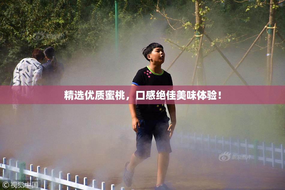 精选优质蜜桃，口感绝佳美味体验！