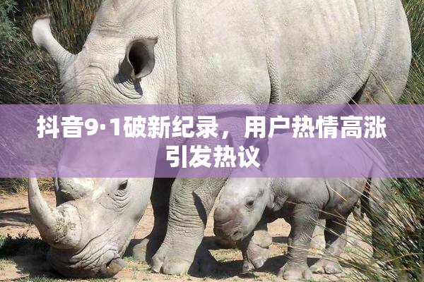 抖音9·1破新纪录，用户热情高涨引发热议