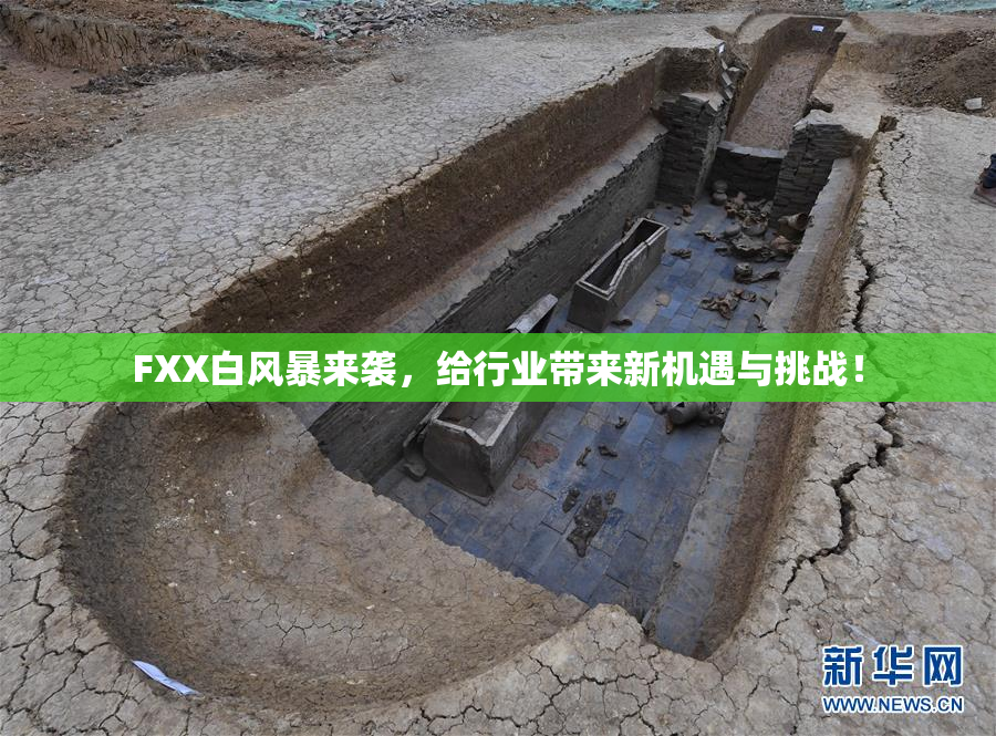 FXX白风暴来袭，给行业带来新机遇与挑战！