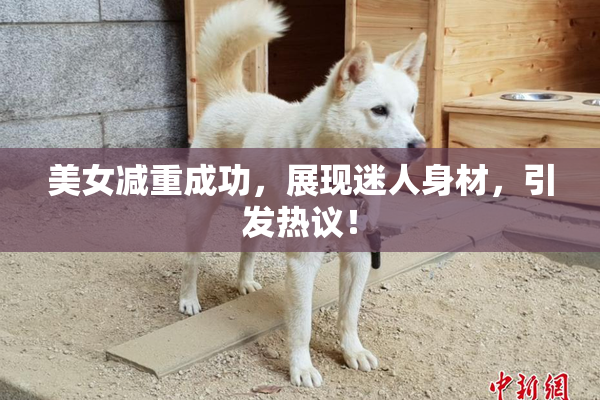 美女减重成功，展现迷人身材，引发热议！