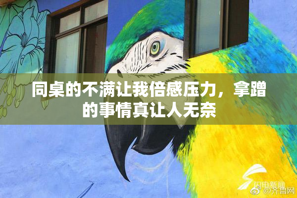 同桌的不满让我倍感压力，拿蹭的事情真让人无奈