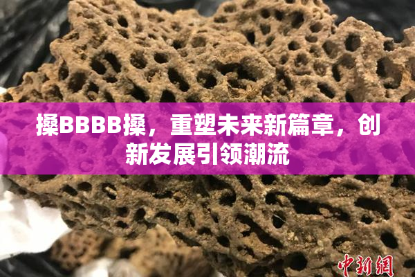 搡BBBB搡，重塑未来新篇章，创新发展引领潮流