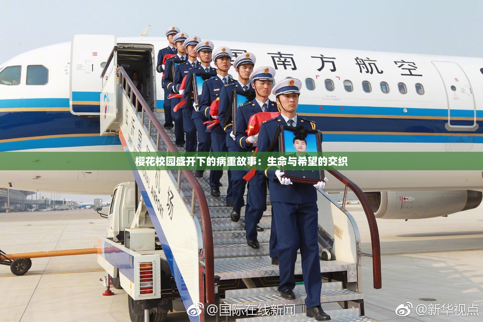 樱花校园盛开下的病重故事：生命与希望的交织