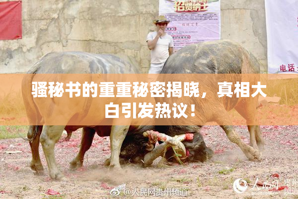 骚秘书的重重秘密揭晓，真相大白引发热议！
