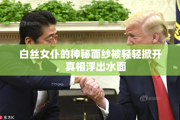白丝女仆的神秘面纱被轻轻掀开，真相浮出水面