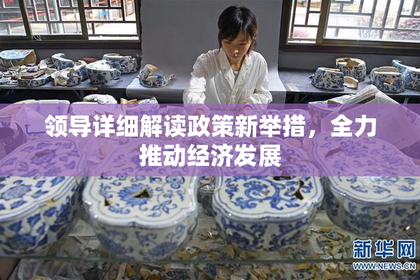 领导详细解读政策新举措，全力推动经济发展