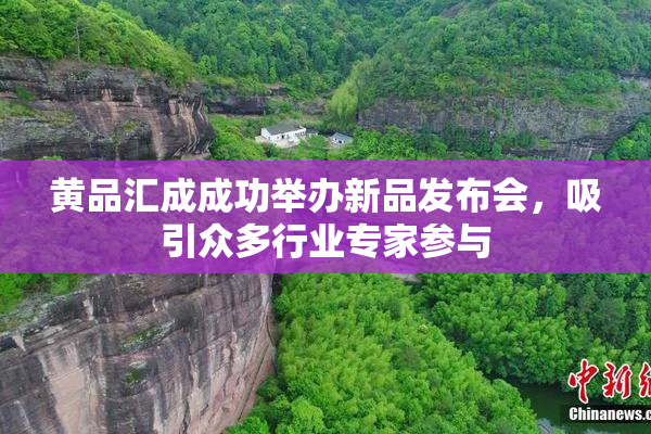 黄品汇成成功举办新品发布会，吸引众多行业专家参与