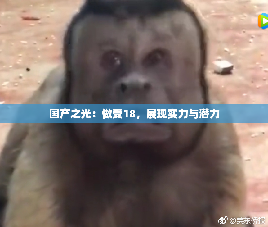国产之光：做受18，展现实力与潜力