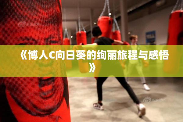 《博人C向日葵的绚丽旅程与感悟》