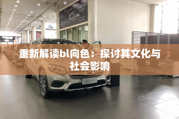 重新解读bl向色：探讨其文化与社会影响