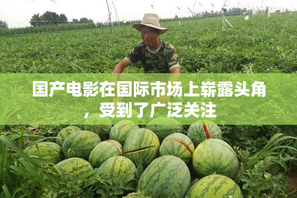 国产电影在国际市场上崭露头角，受到了广泛关注