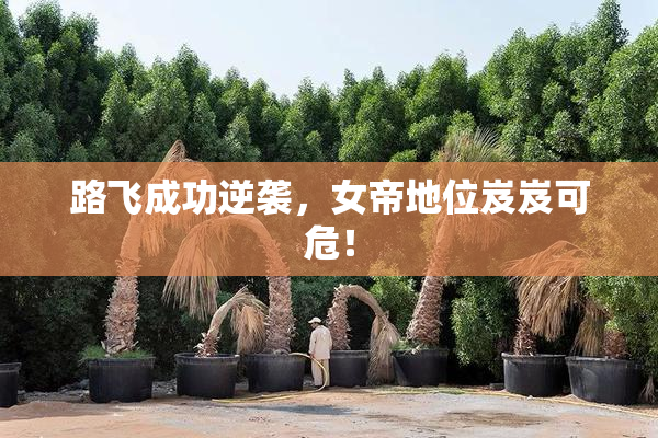 路飞成功逆袭，女帝地位岌岌可危！