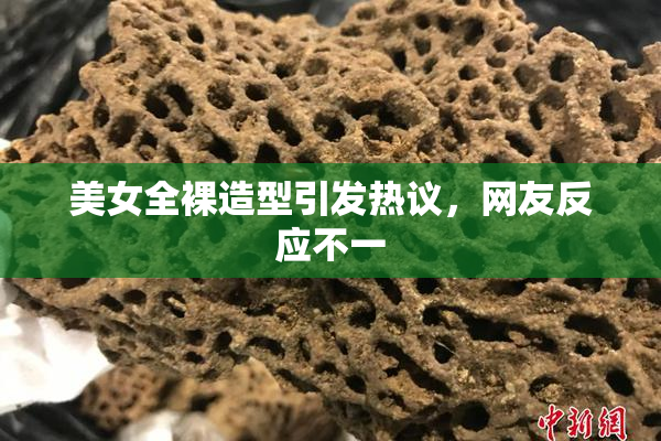 美女全裸造型引发热议，网友反应不一