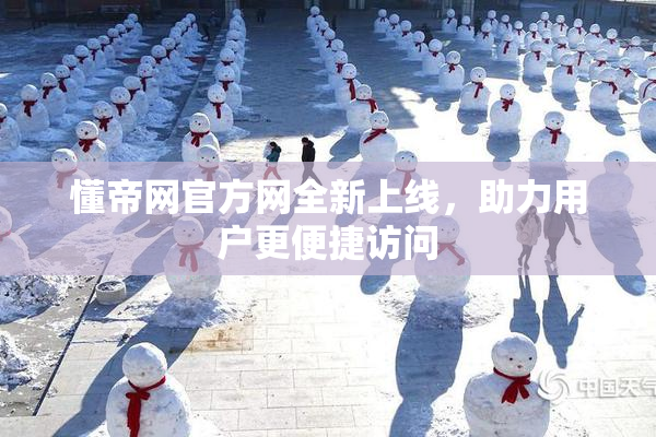 懂帝网官方网全新上线，助力用户更便捷访问