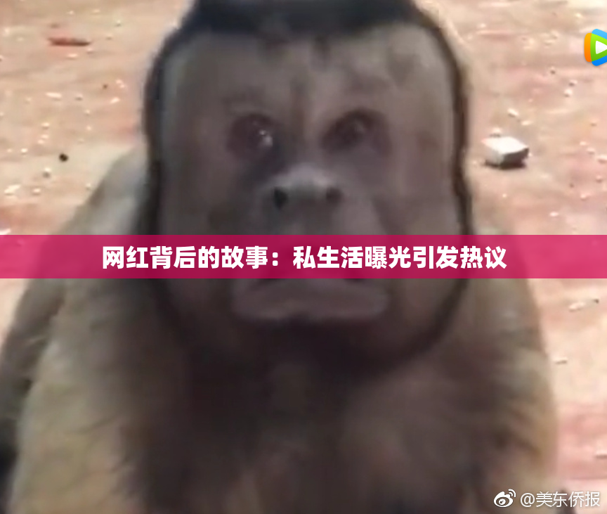 网红背后的故事：私生活曝光引发热议
