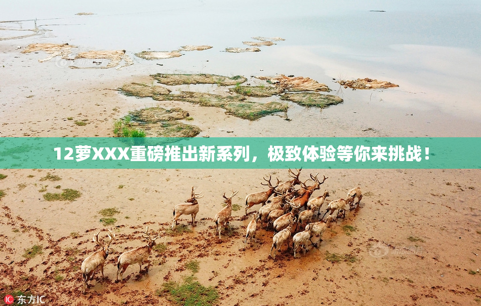 12萝XXX重磅推出新系列，极致体验等你来挑战！