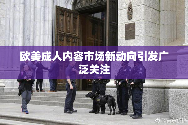 欧美成人内容市场新动向引发广泛关注