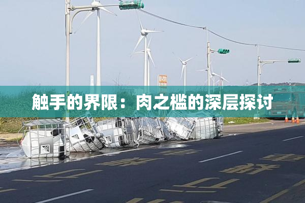 触手的界限：肉之槛的深层探讨