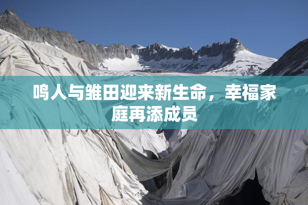 鸣人与雏田迎来新生命，幸福家庭再添成员