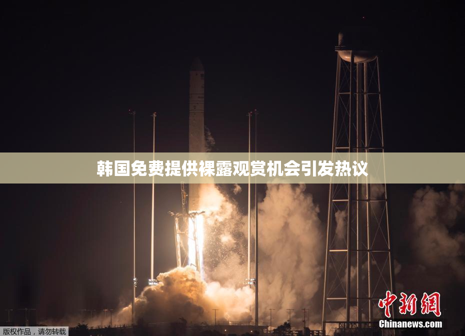 韩国免费提供裸露观赏机会引发热议