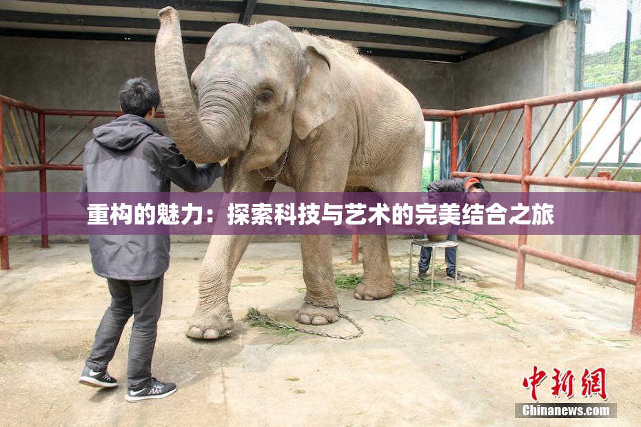 重构的魅力：探索科技与艺术的完美结合之旅