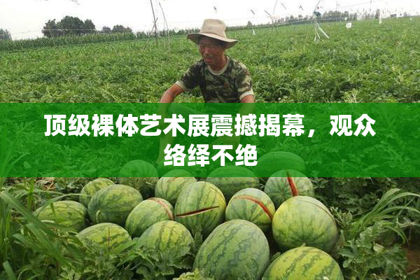 顶级裸体艺术展震撼揭幕，观众络绎不绝