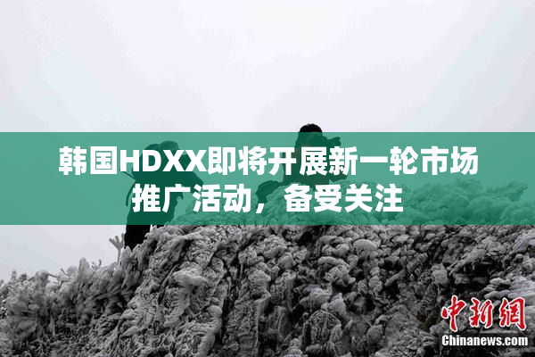 韩国HDXX即将开展新一轮市场推广活动，备受关注