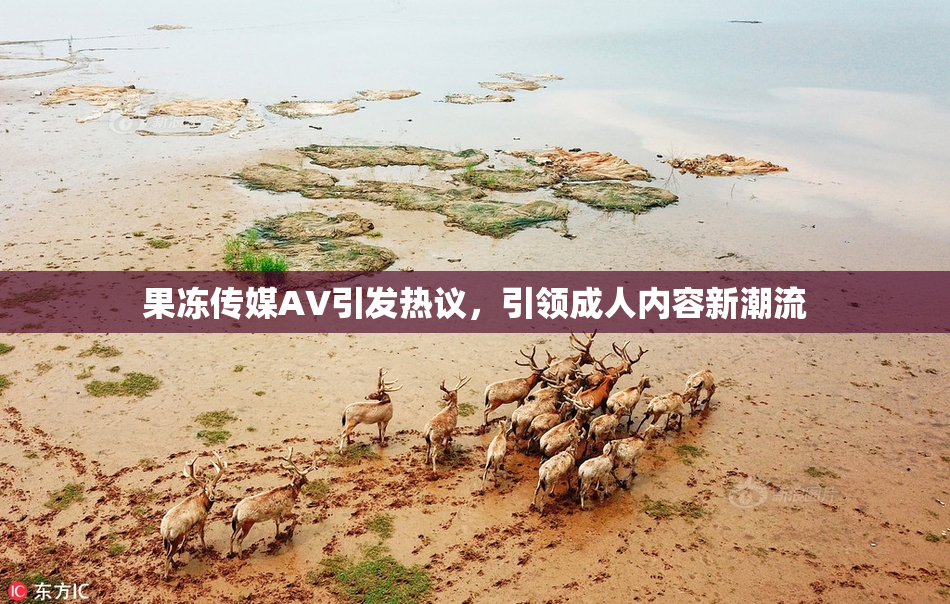果冻传媒AV引发热议，引领成人内容新潮流