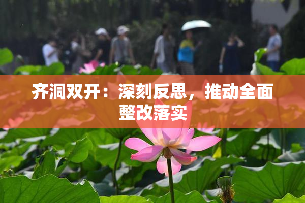 齐洞双开：深刻反思，推动全面整改落实