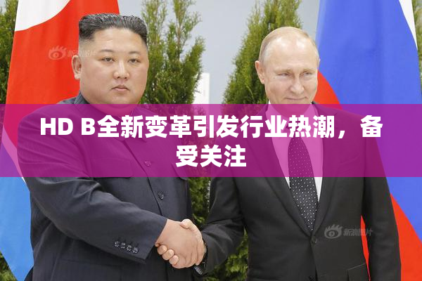 HD B全新变革引发行业热潮，备受关注