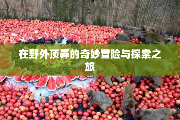 在野外顶弄的奇妙冒险与探索之旅