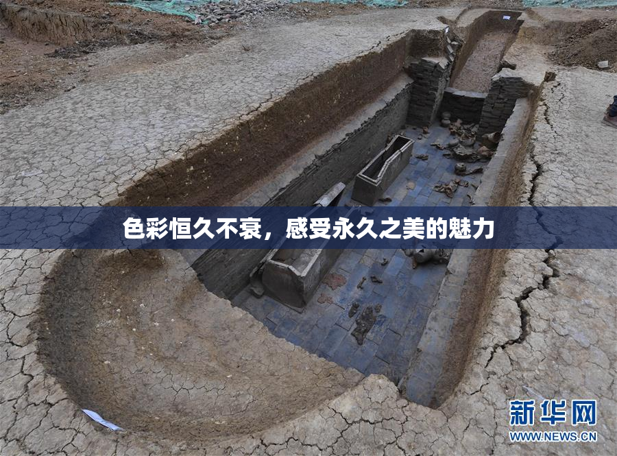 色彩恒久不衰，感受永久之美的魅力