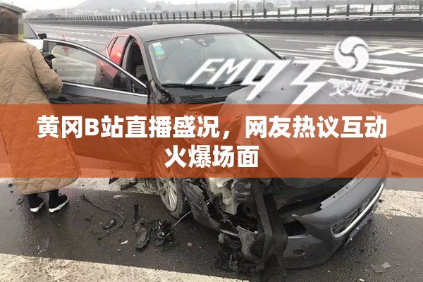黄冈B站直播盛况，网友热议互动火爆场面