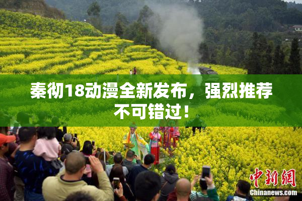 秦彻18动漫全新发布，强烈推荐不可错过！