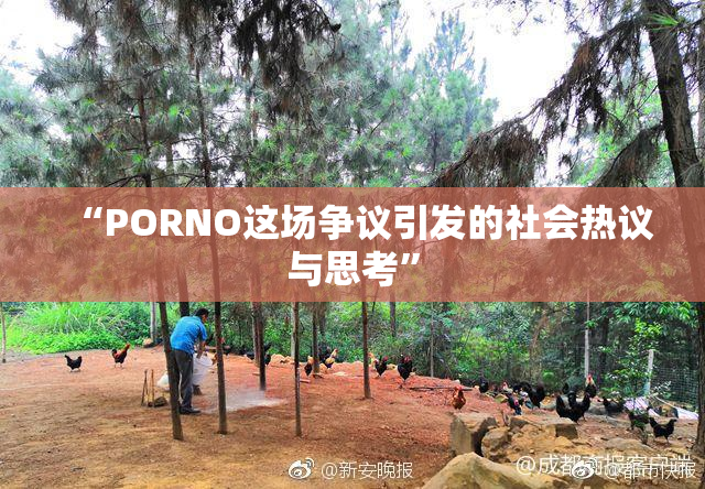 “PORNO这场争议引发的社会热议与思考”