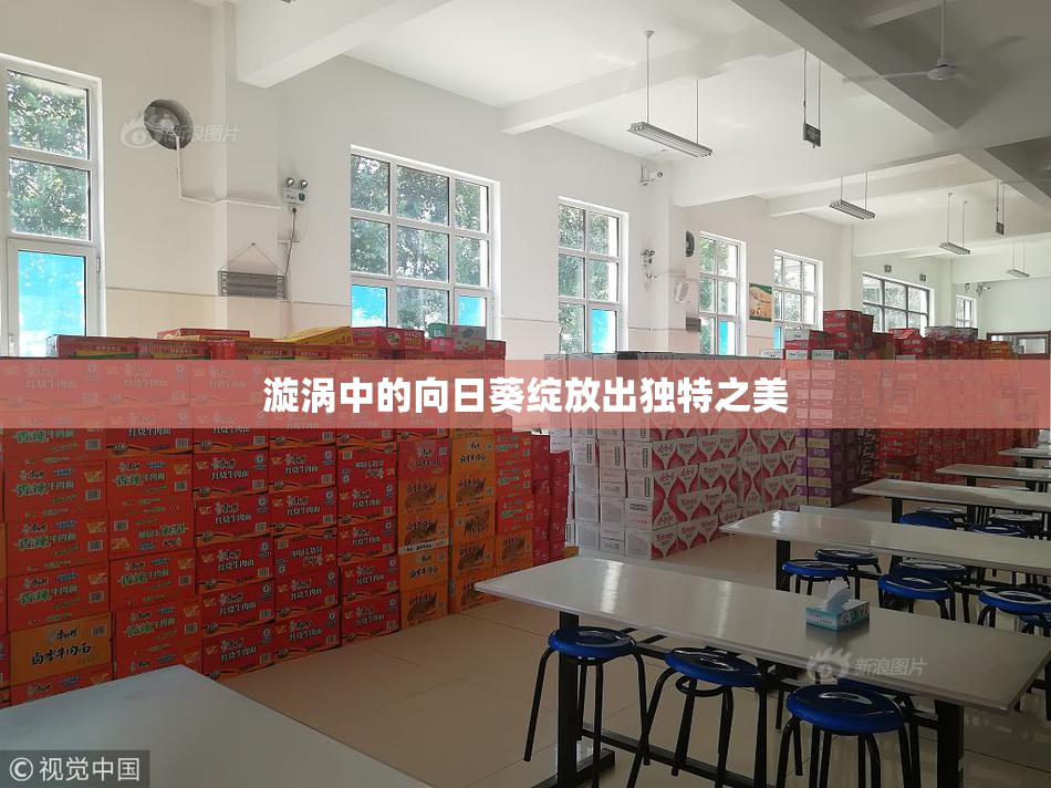 漩涡中的向日葵绽放出独特之美