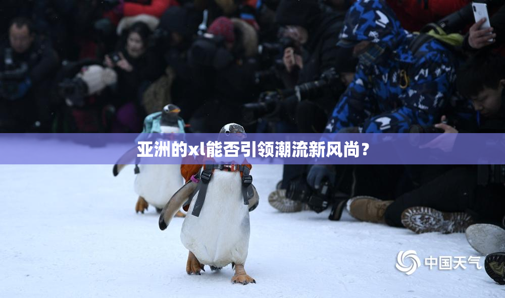 亚洲的xl能否引领潮流新风尚？