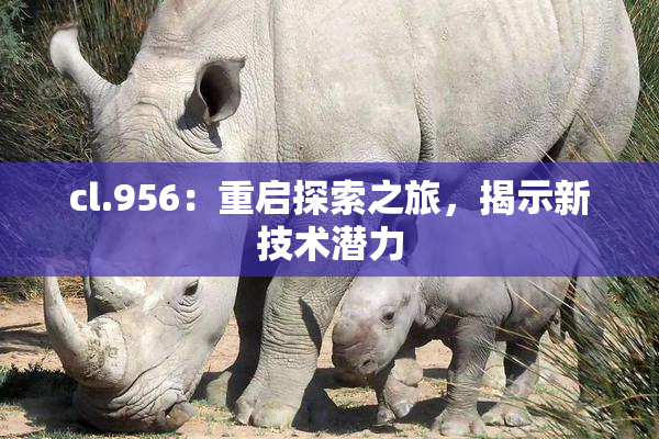 cl.956：重启探索之旅，揭示新技术潜力
