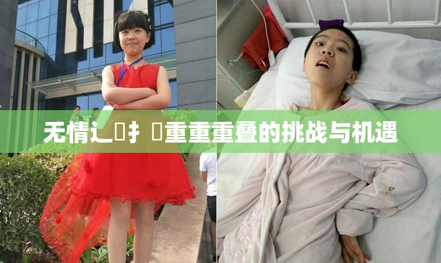 无情辶喿扌畐重重重叠的挑战与机遇