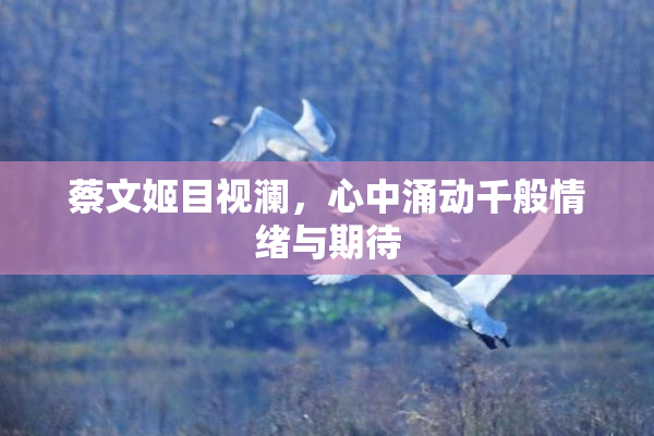 蔡文姬目视澜，心中涌动千般情绪与期待
