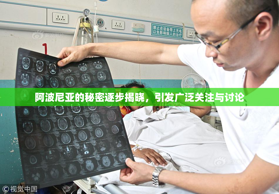 阿波尼亚的秘密逐步揭晓，引发广泛关注与讨论